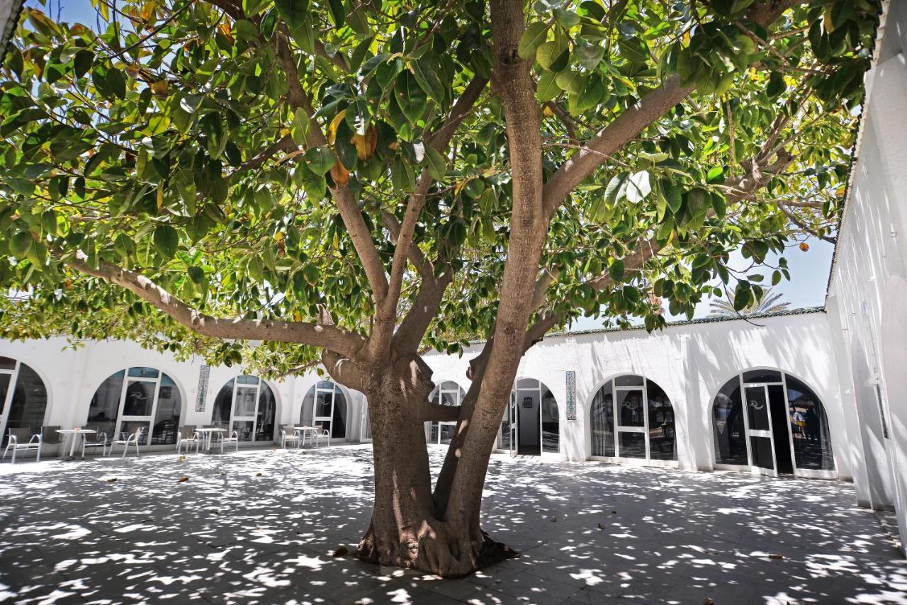Palmyra Club Nabeul Otel Dış mekan fotoğraf